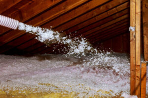 Ceiling Insulation